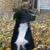 Scott Rahr's profile image