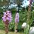 Maya Travaglia's profile image