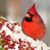 Mary Griffin's profile image