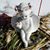 Kelly Handy Mott's profile image
