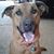 Janet MacBride Carango's profile image