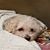 Linda Sibley Jones's profile image