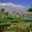 Palm Springs CA's profile image