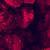 Andrea Yustat Tutorow's profile image