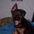 Chris Owen's profile image