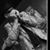 Lee Tibbetts's profile image
