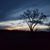Heather Pittsley Jones's profile image