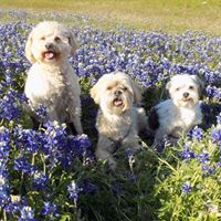 Sharon Tacker's profile image