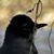 Richard OMalley's profile image