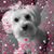 Amy Clark Badger's profile image