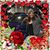 Caban Eileen's profile image