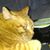Kevin Kurtz's profile image