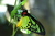 Evana H.'s profile image