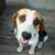 Barbara Jean Miller Clouse's profile image