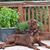 Andie Russell Spanos's profile image