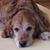 Michele Archambault's profile image