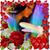 Judy Snyders's profile image