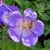 Elizabeth Adams's profile image