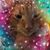 Jill Olasz's profile image