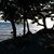 Pamela Johnson's profile image
