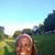 Cynthia Brooks's profile image