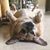 Lynette Trout's profile image