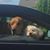 Vicki Spaulding's profile image