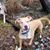 Kerri Keesee-Cark's profile image