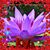 Elizabeth Mendez Fuentes's profile image