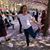 Ellen Jamison Larsson's profile image