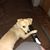 Jonna Johnson's profile image