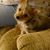 Maggie Walker's profile image