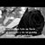 Silvia Susana's profile image