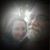 Beth Walter's profile image