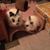 Linda Cala's profile image