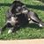 Ane Cahill Priester's profile image