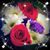 Lavon Bahe's profile image