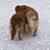 Laura Frye White's profile image