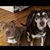 Nancy Garber Hayes's profile image