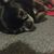 Brenda Taylor's profile image
