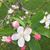 Sharon Fritz's profile image