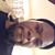 Darnell R Oliver's profile image