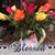 Susan Lewis Roberson's profile image