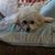 Diane Baker Palumbo's profile image