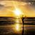 Kimberly A Penrose's profile image