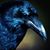Chris Crespo's profile image