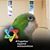 Nancyjane Bailey's profile image