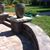 Shady Shea's Landscaping's profile image