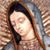 Fran Ruiz-Hdez's profile image