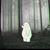Odai Al Ahmad's profile image